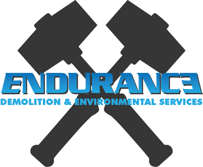endurance-logo